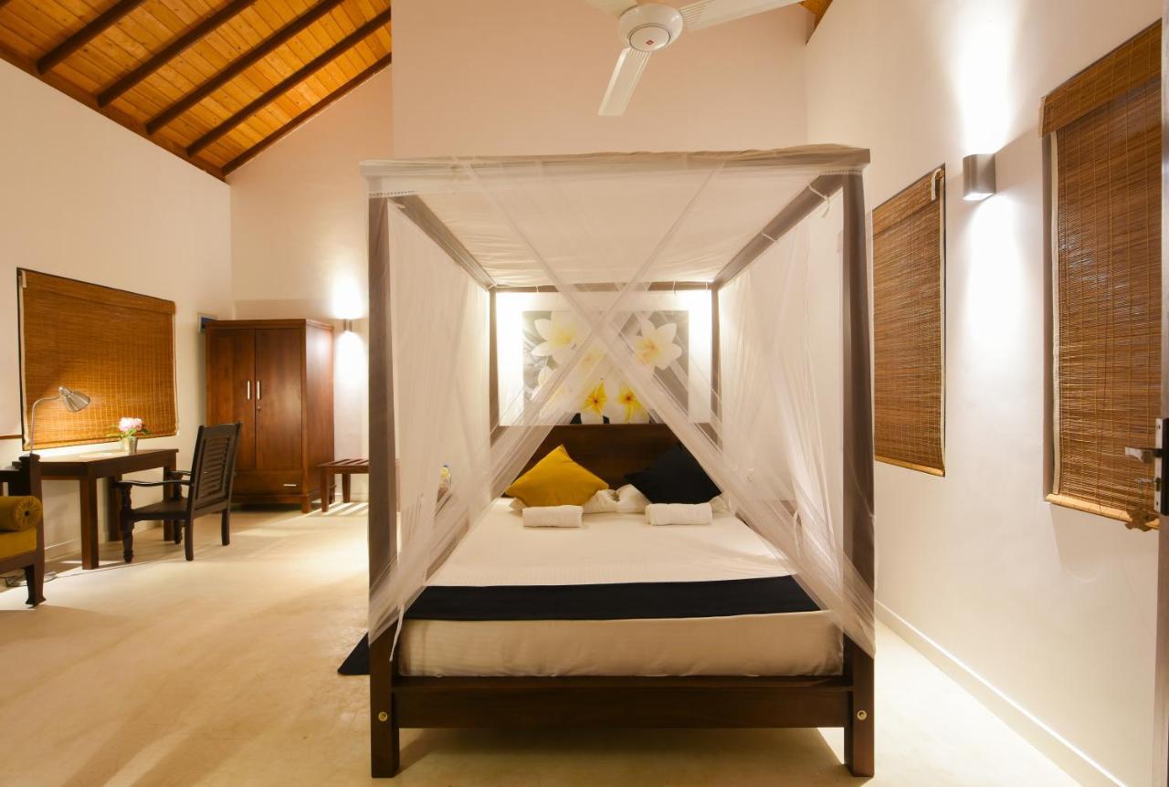 The Araliya Retreat Bed and Breakfast Kalpitiya Exteriör bild